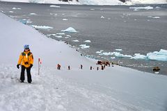 10A Tourists Climbing To The Top Of Danco Island On Quark Expeditions Antarctica Cruise.jpg